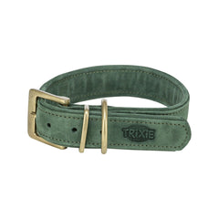 Collection image for: Hunde