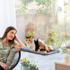 Collection image for: Vinduessenge med sugepuder