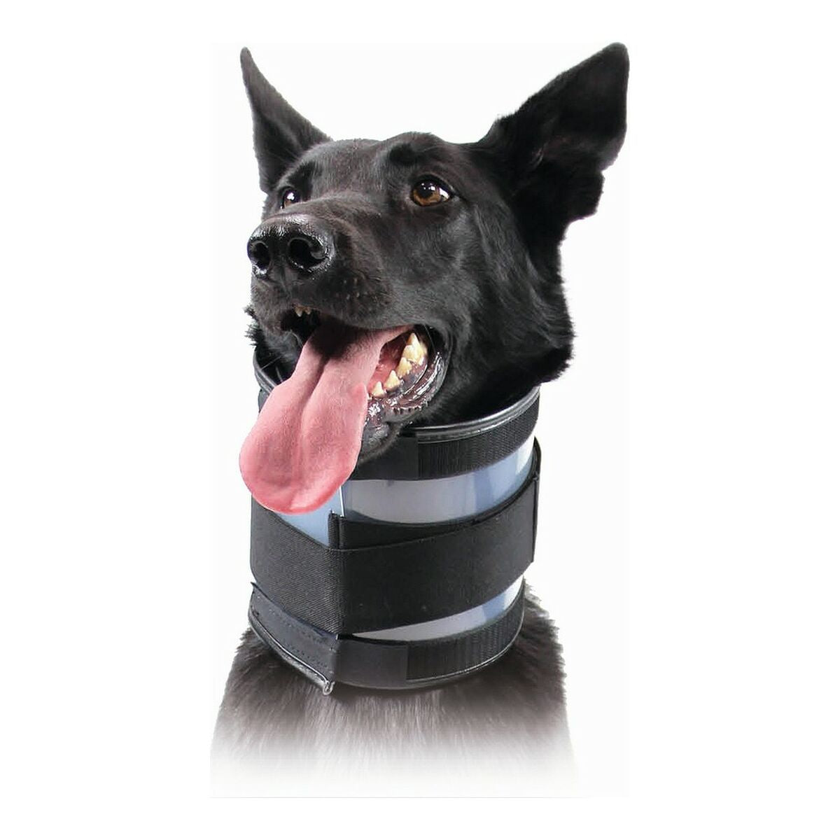 Cervikal krave til hunde KVP Sort (15-53 cm) billede