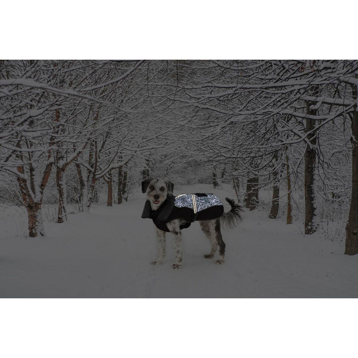 V6H512E60A16CF84D935DFACD5C2A2724A1R5332394P2