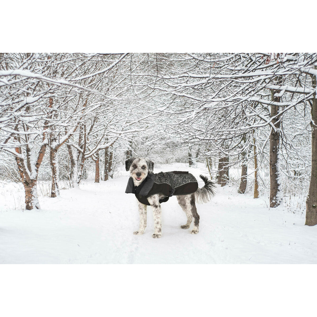 V6HBDF117C76460A2BD5842C757FC92A43AR5332420P8