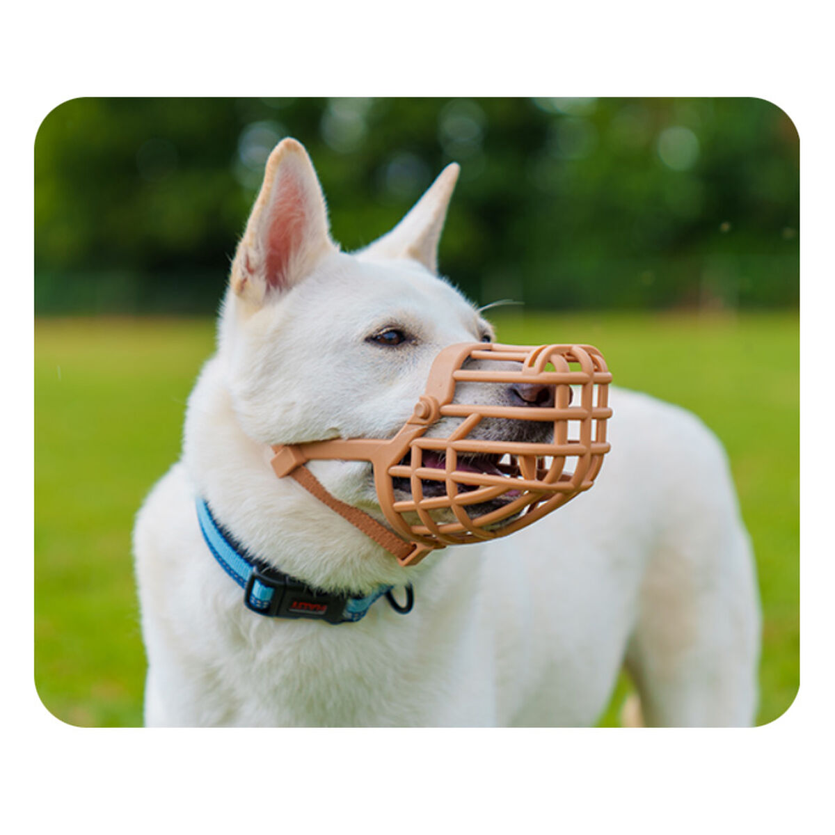 V6H81D032E942BBD17B9E9B79C0A7EC18BDR5327556P3