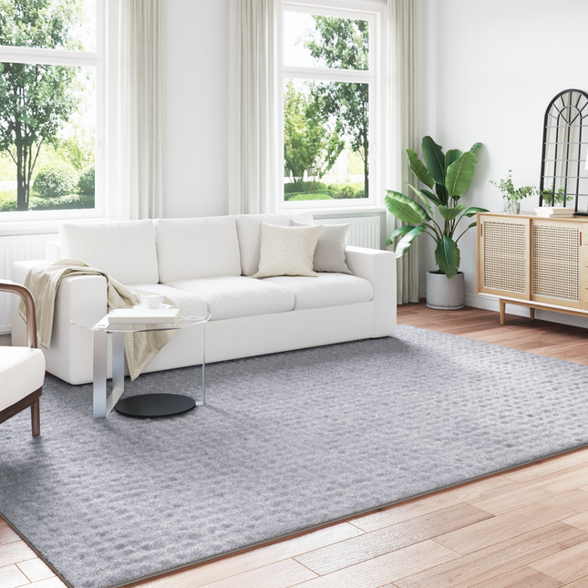 Områdetæpper Rektangulær SIROLO Grå 340 x 240 cm Polyester