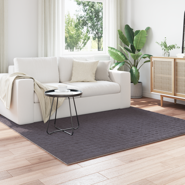 Områdetæpper Firkantet SIROLO Antracit 200 x 200 cm Polyester