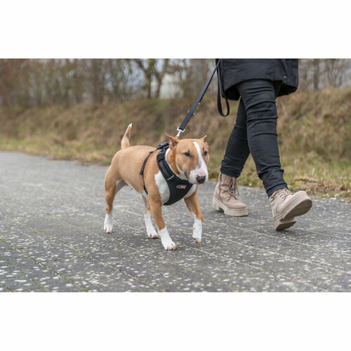 V5HF7938086F6A5A9E625ACD81825FE0F88R7451939P8