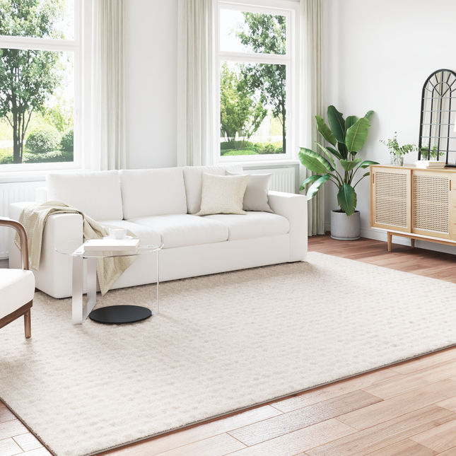 Områdetæpper SIROLO Cremefarvet 340 x 240 cm Polyester