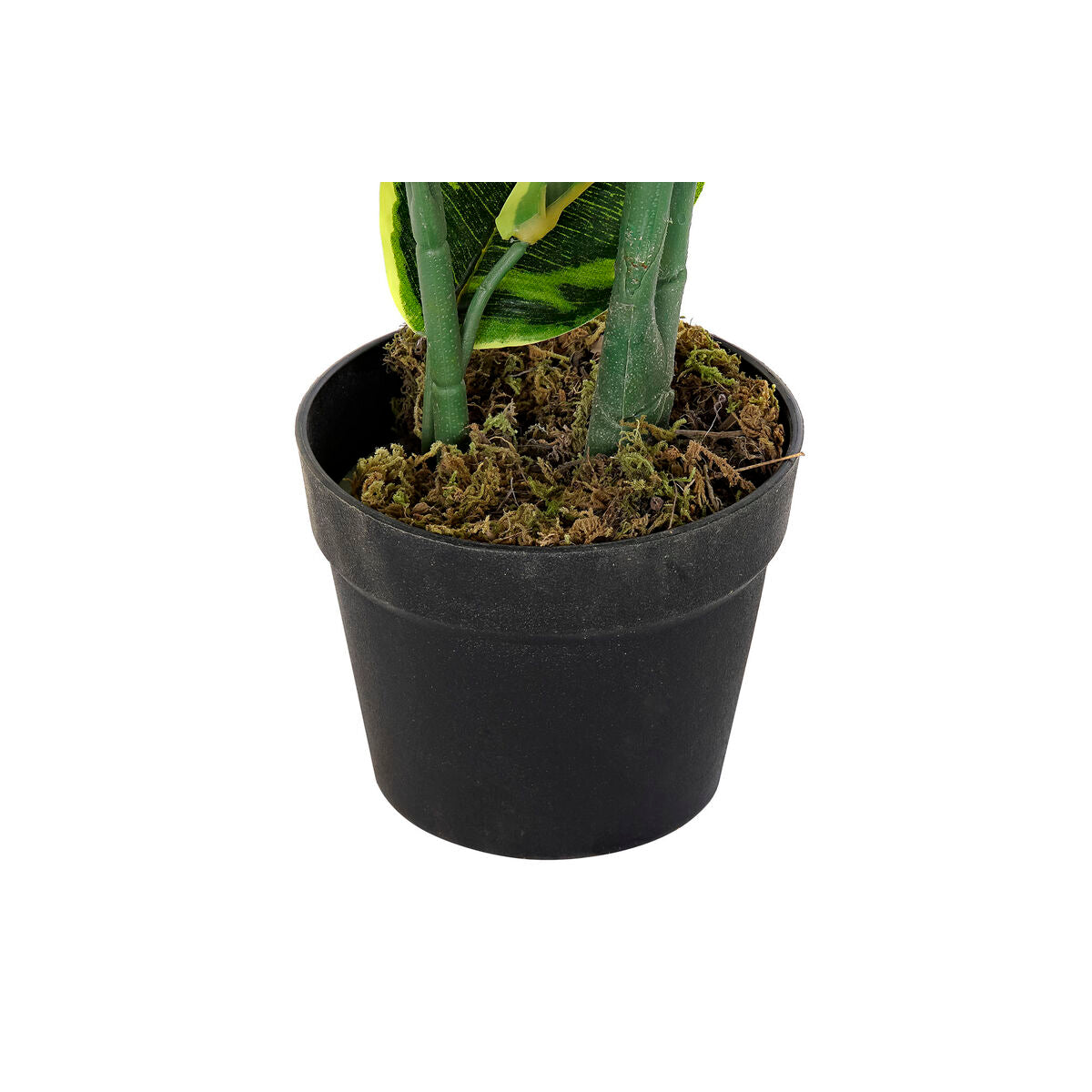 V8HB697F31652D7281990492E5962B233D5R1597860P2