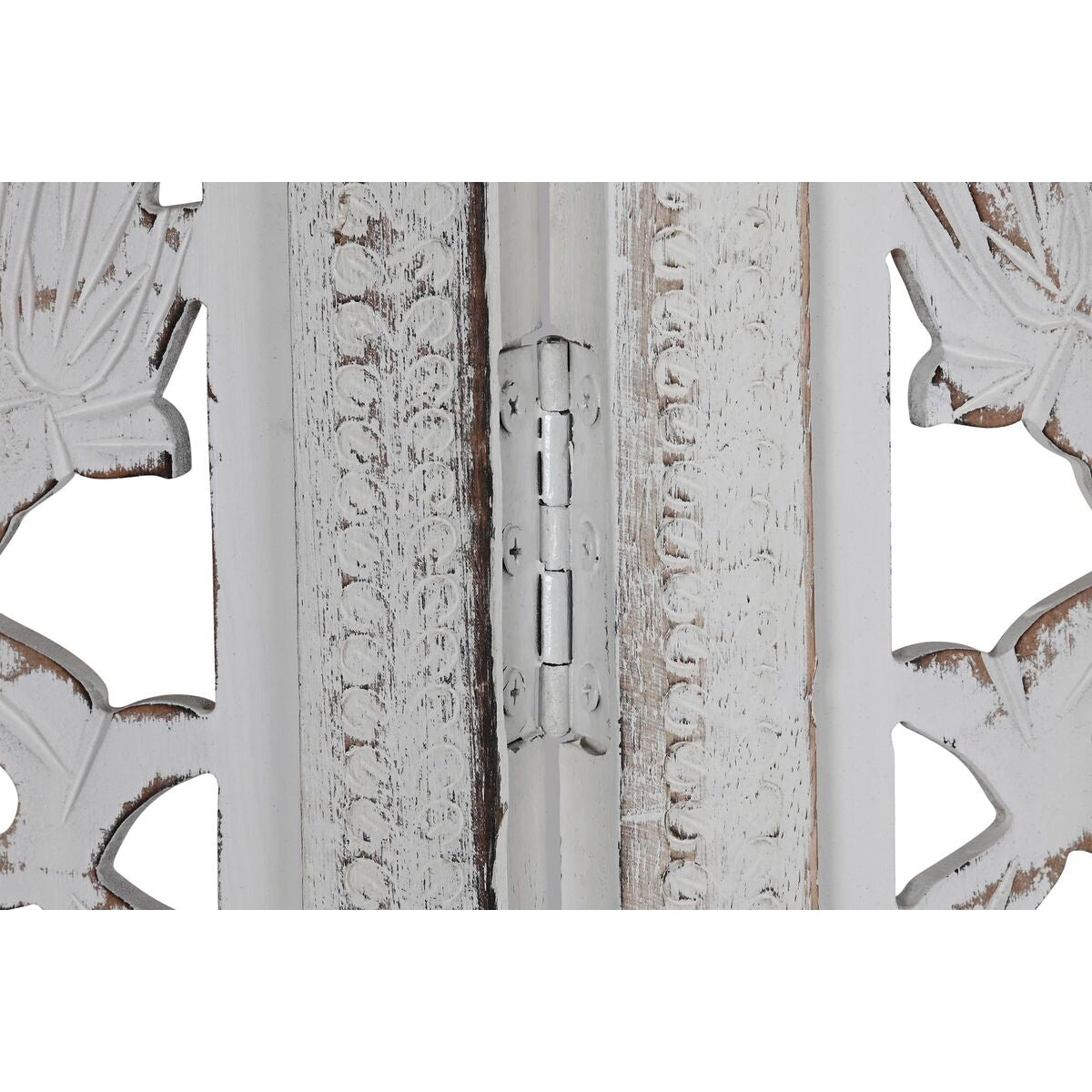 V14H0C239624FBA439F579368ED66CAF6CFBR6376882P5