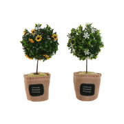 V4H0394F68EFAE28FC928321191254AE6F8R5167533P1