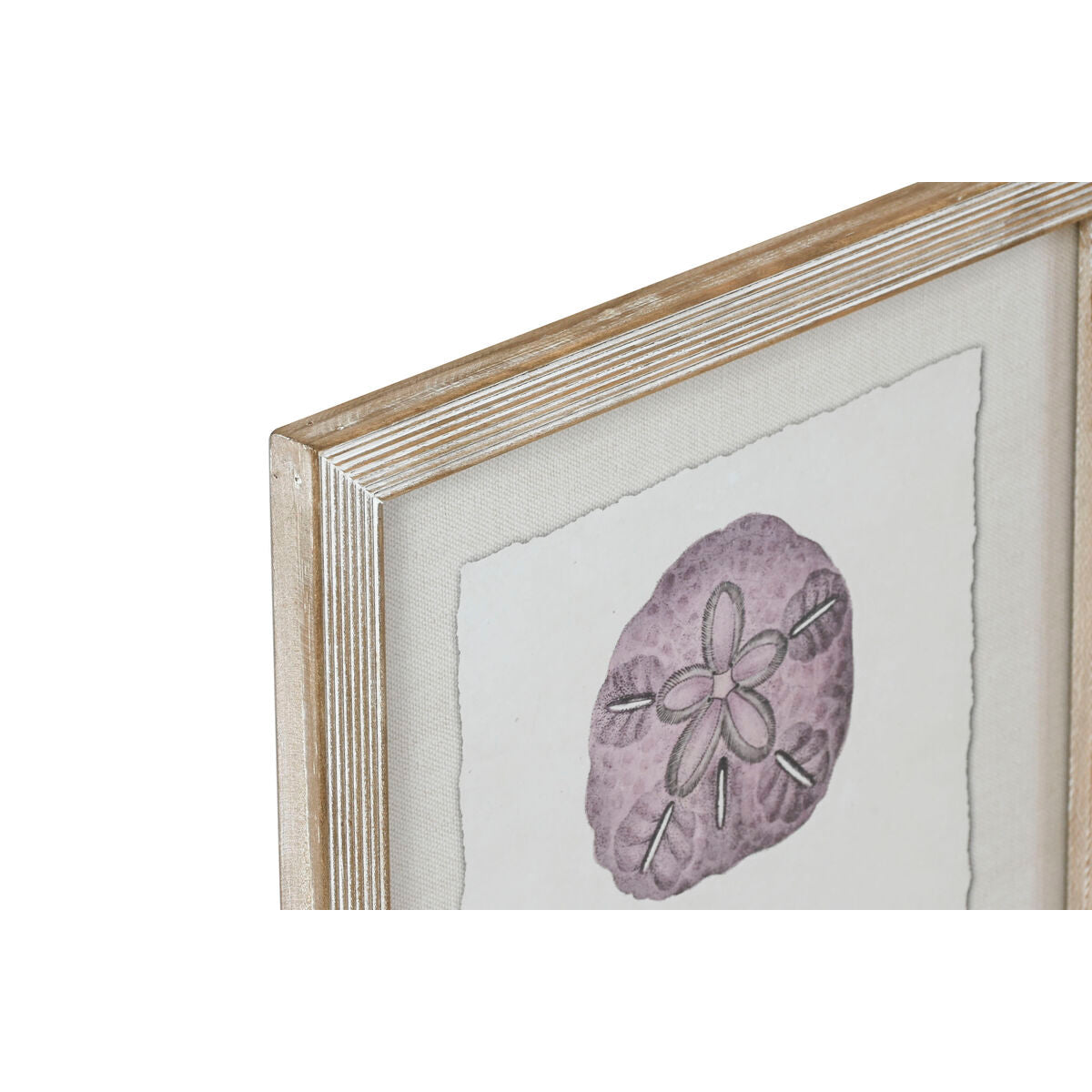 V9H5692630D8F0D9BF0B2E86F79007C859CR6372716P2