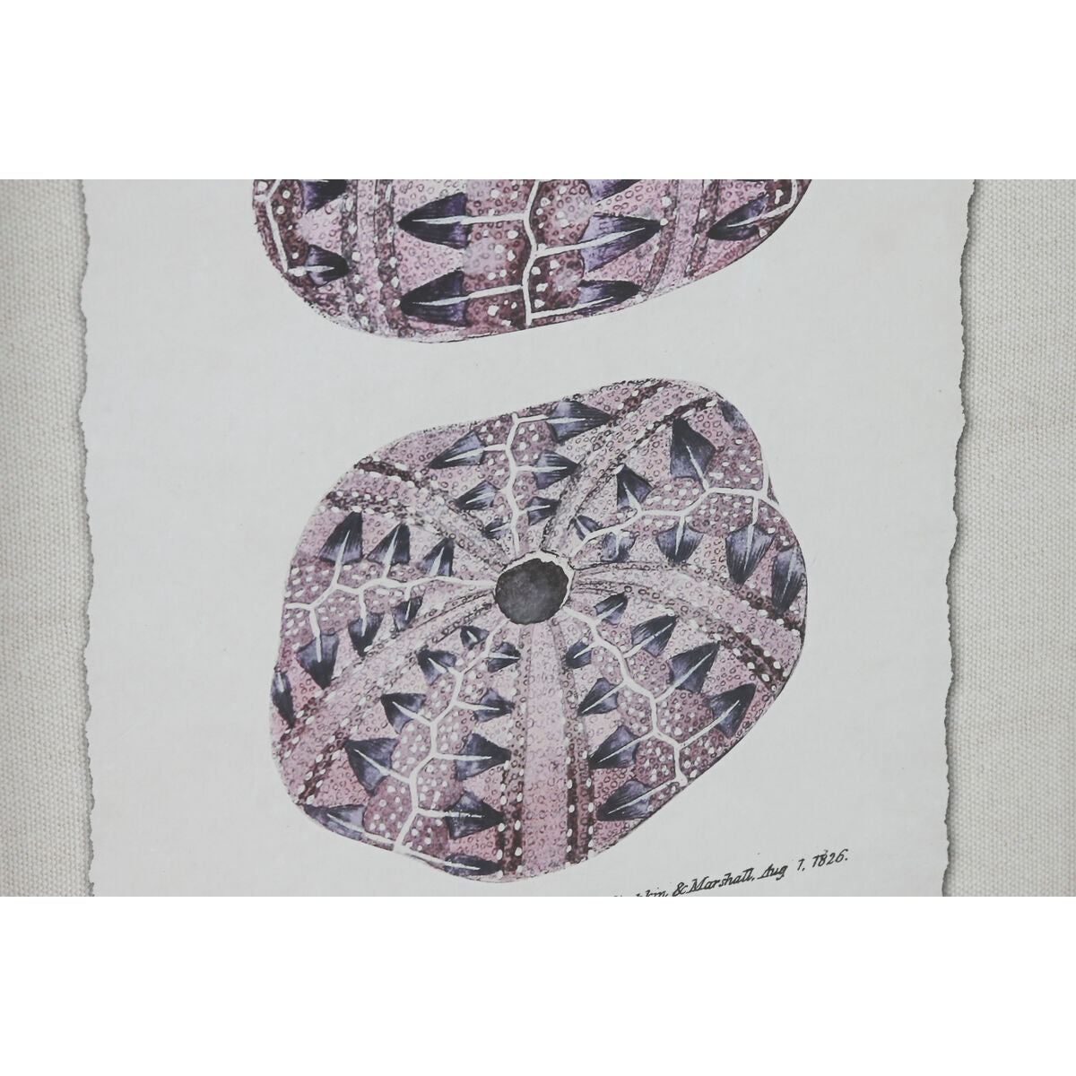 V9HA5A2DE41A908F0F47F1CB6FD8FB62C65R6372717P3