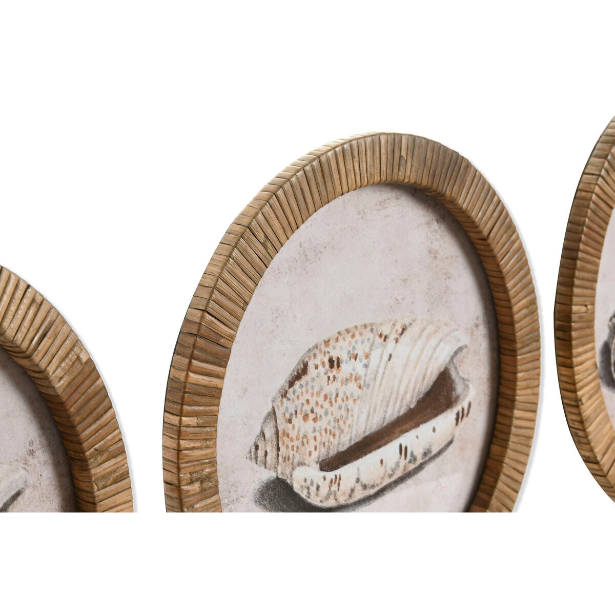 V4H9802500734AEB4F42B1F1E50E51A8E7ER7422544P2