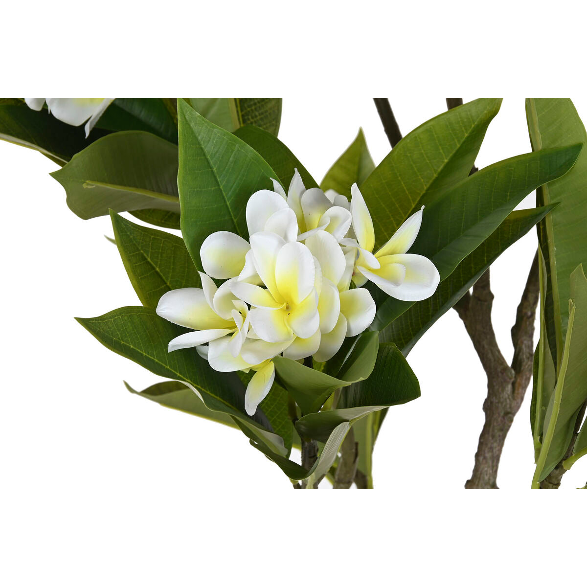 V3H0799B77D896F50EFE941F293E8B1B4EAR5676124P2