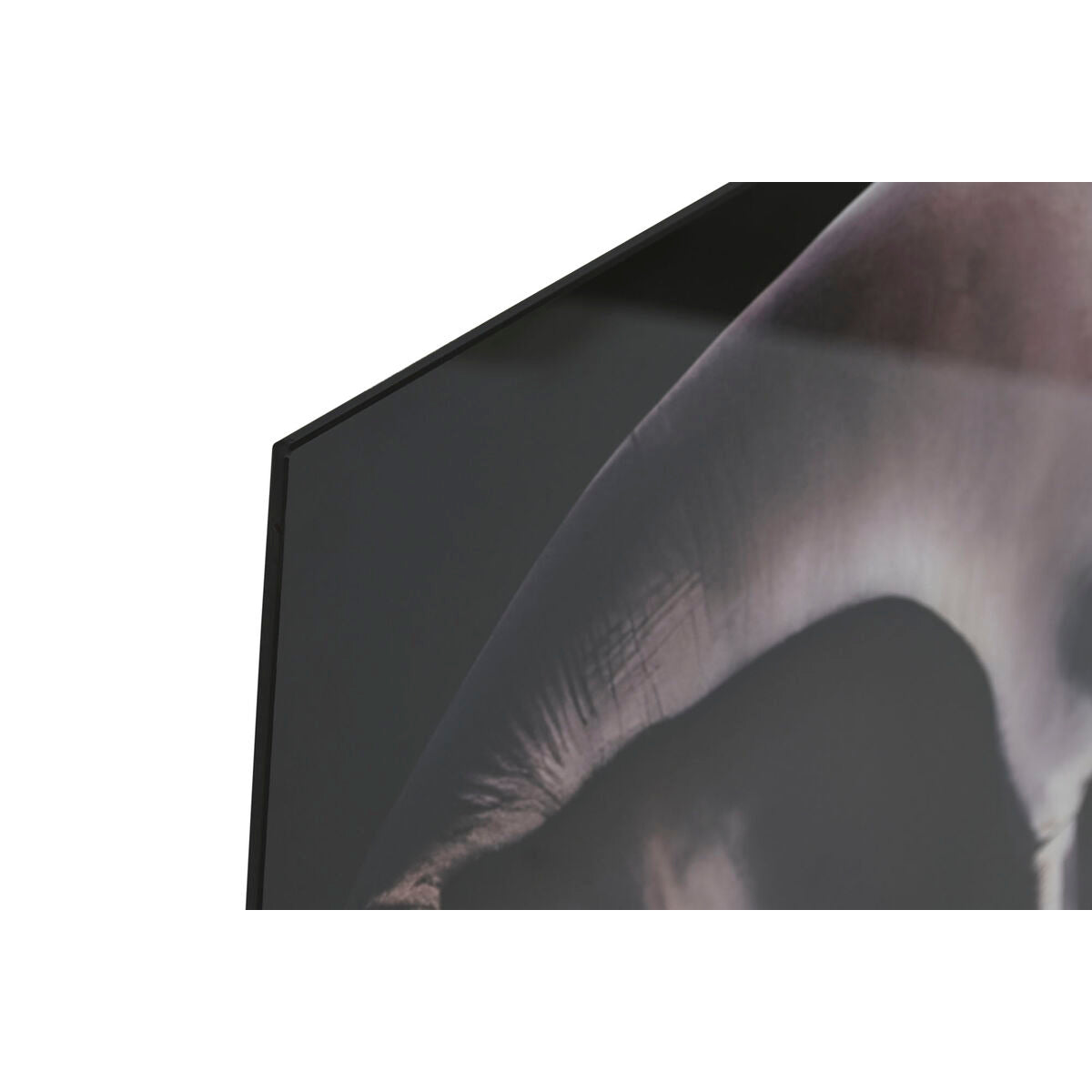 V5HD1C8AF1721BC977E95997F0954923E06R6373146P2