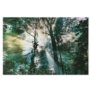 V7HBD14B40FBA0F91980D1ED2F4D3A49DC5R6373186P1