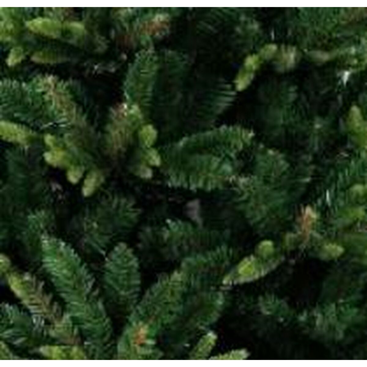 V3HB2408FEFB327181C8CDED93F28898F09R7198157P2