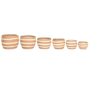 V2H72A94278592CD32D8F543DB06FD66505R7425352P1