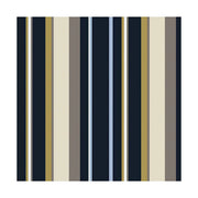 V10H7EF06312D076DDC7B4FB10CB7D6A57A3R3449264P1