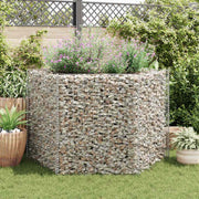 sekskantet gabion-højbed 160x134x100 cm