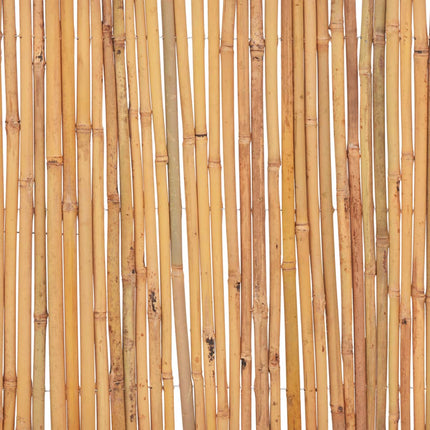 bambushegn 500 x 50 cm