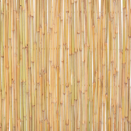 bambushegn 300 x 100 cm