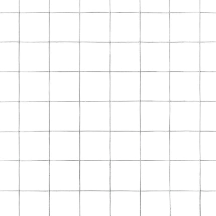 hønsenet galvaniseret stål 10 x 1,5 m sølvfarvet