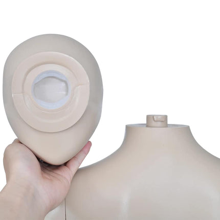 mannequin kvinde rundt hoved