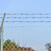 Pigtrådshegn 100 m grøn