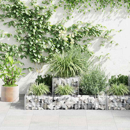 gabion-plantekasse galvaniseret stål 120 x 120 x 20 cm