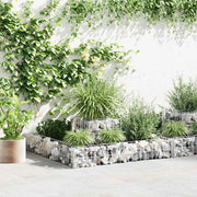 gabion-plantekasse galvaniseret stål 120 x 120 x 20 cm