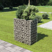 gabion-højbed 90x50x100 cm galvaniseret stål