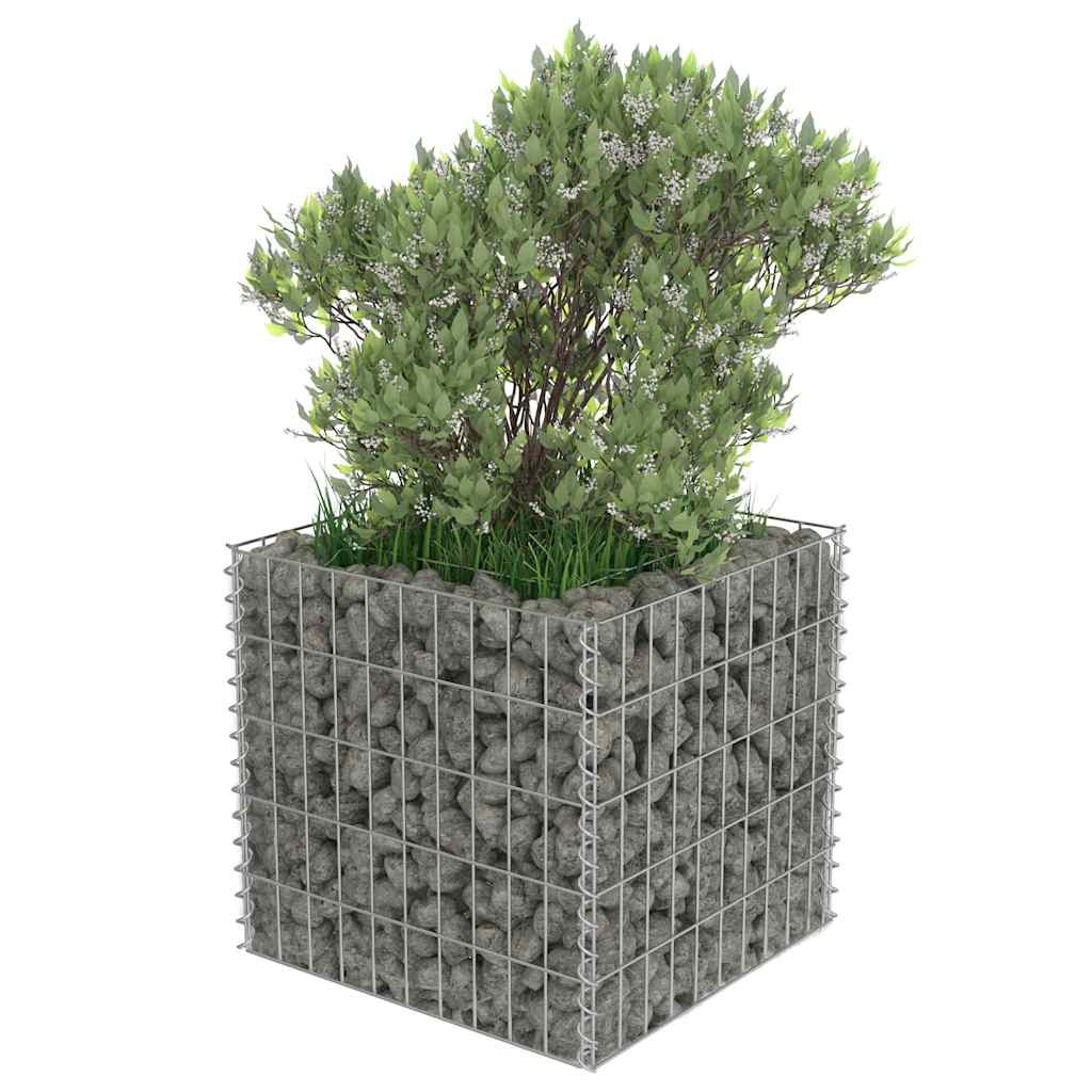 gabion-højbed 50x50x50 cm galvaniseret stål
