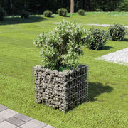gabion-højbed 50x50x50 cm galvaniseret stål