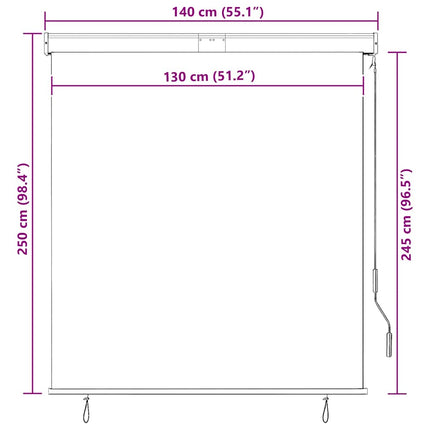 udendørs rullegardin 140x250 cm antracitgrå