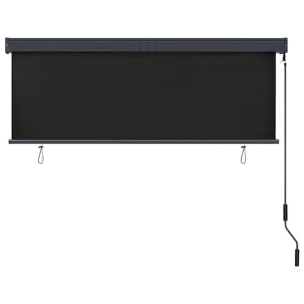 udendørs rullegardin 160x250 cm antracitgrå