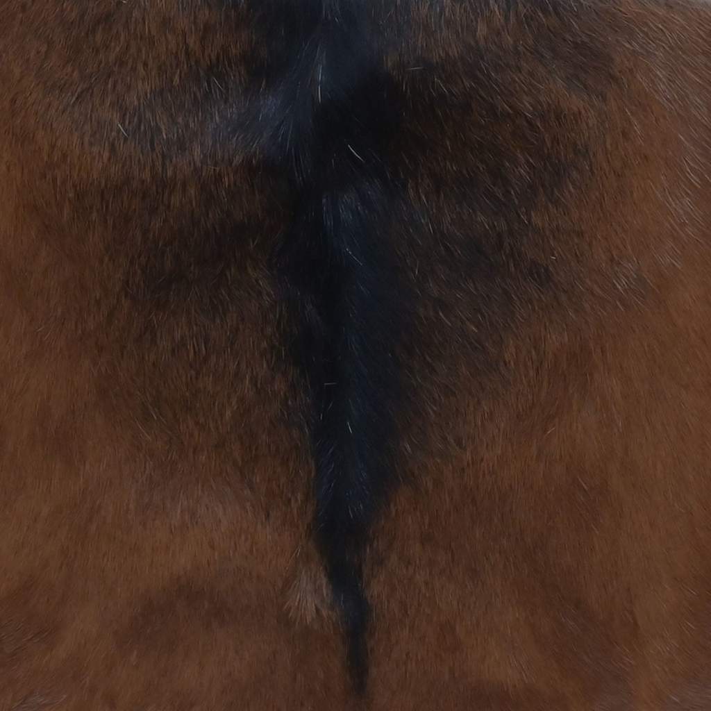 sammenfoldelig taburet gedeskindslæder og massivt teaktræ