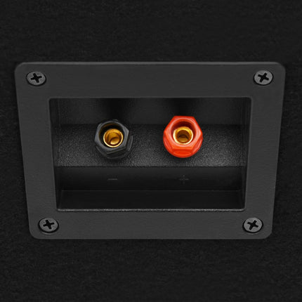 prof. passive hi-fi-scenehøjttalere 2 stk. 800 W sort