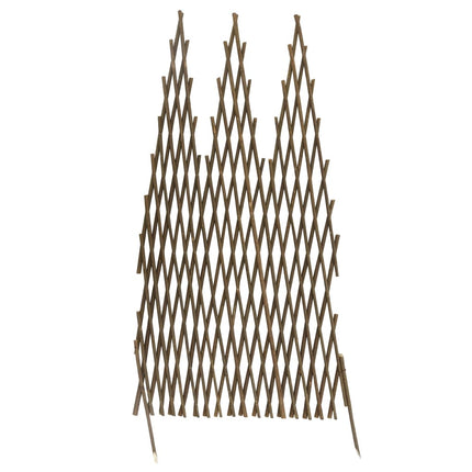 espalierhegn 5 stk. 170x75 cm pil
