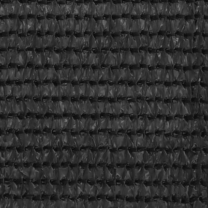 altanafskærmning 90x300 cm HDPE antracitgrå