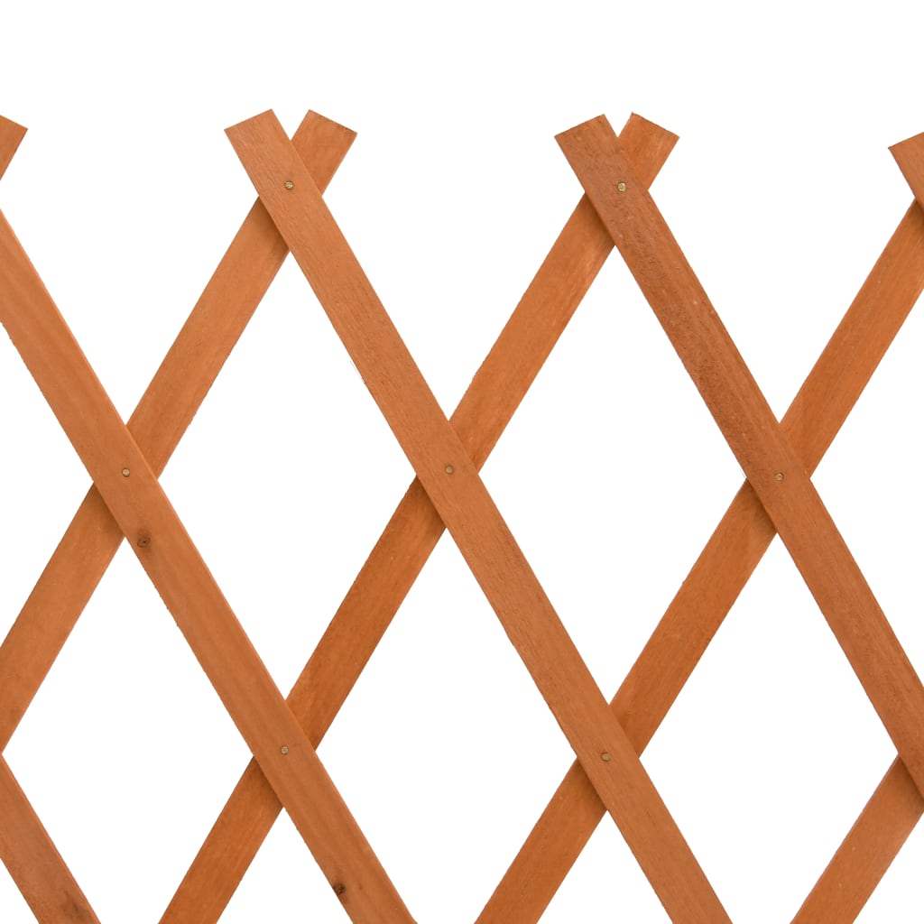 espalier til haven 150x80 cm massivt fyrretræ orange