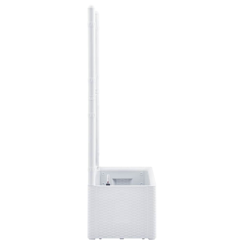 højbed med espalier og automatisk vandingssystem hvid