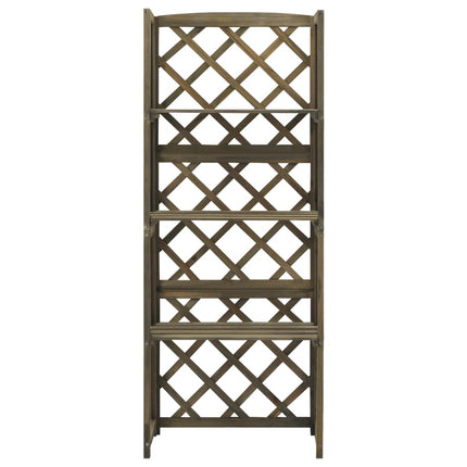 espalier med hylder 55x30x140 cm massivt grantræ grå