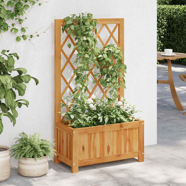 forhøjet plantekasse med espalier massivt akacietræ