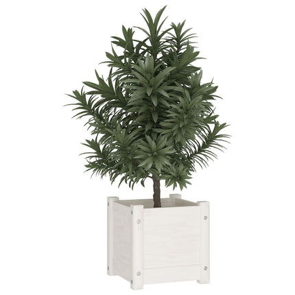 plantekasse 31x31x31 cm massivt fyrretræ hvid