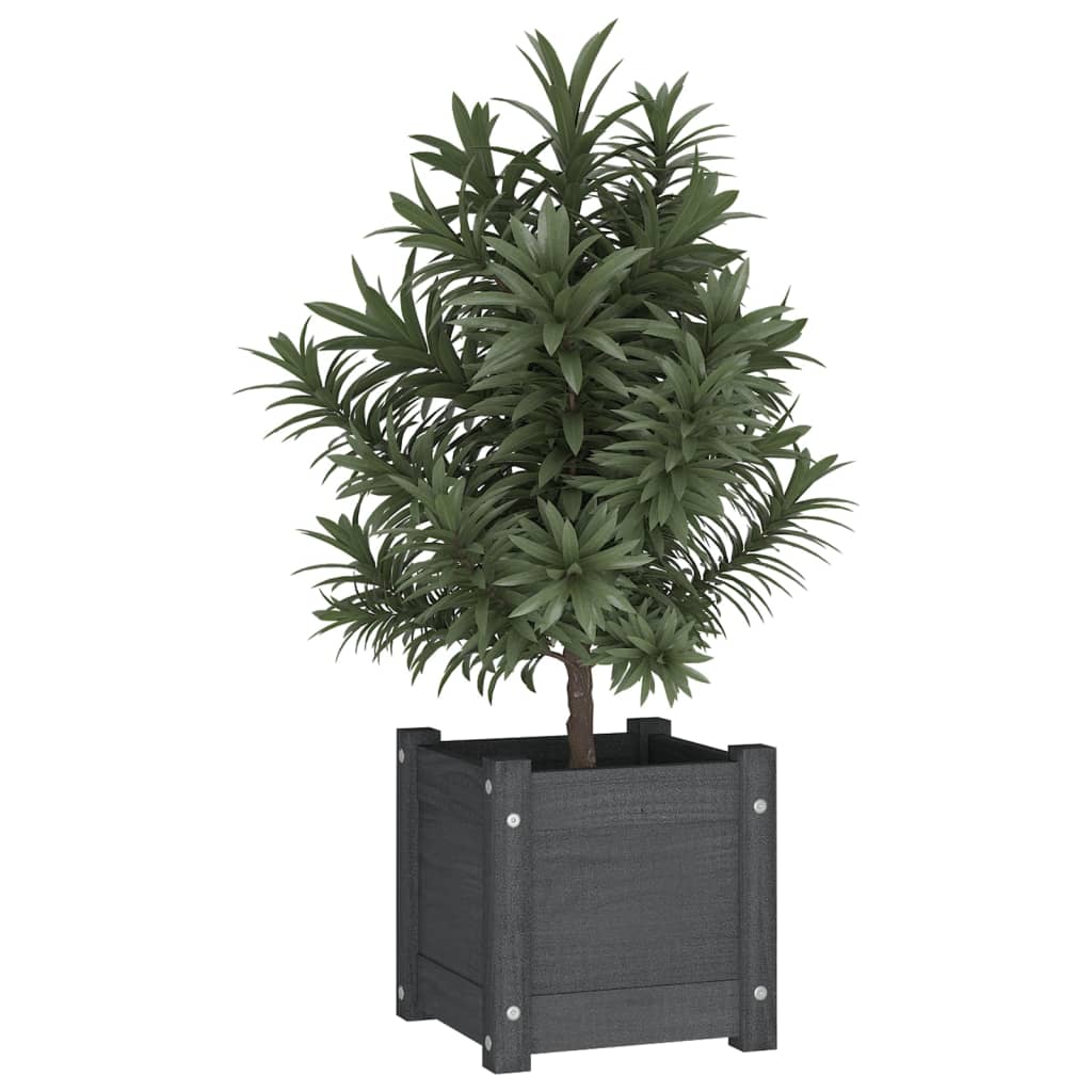 plantekasser 2 stk. 31x31x31 cm massivt fyrretræ grå