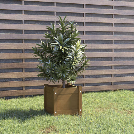 plantekasse 31x31x31 cm massivt fyrretræ gyldenbrun