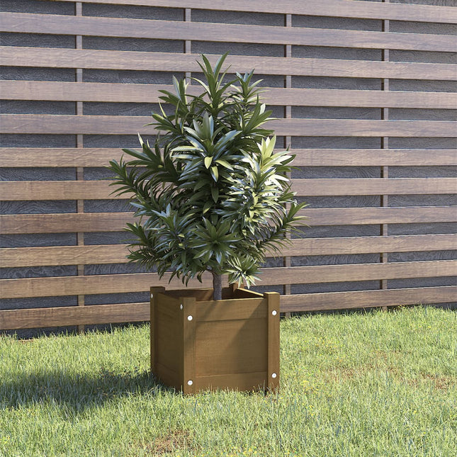 plantekasse 31x31x31 cm massivt fyrretræ gyldenbrun