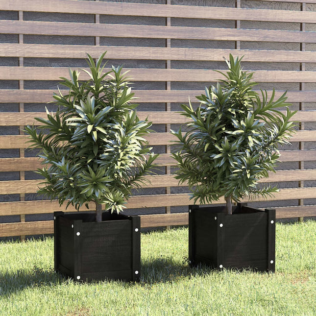 plantekasser 2 stk. 31x31x31 cm massivt fyrretræ sort