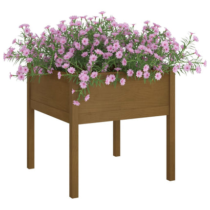 plantekasser 2 stk. 70x70x70 cm massivt fyrretræ gyldenbrun