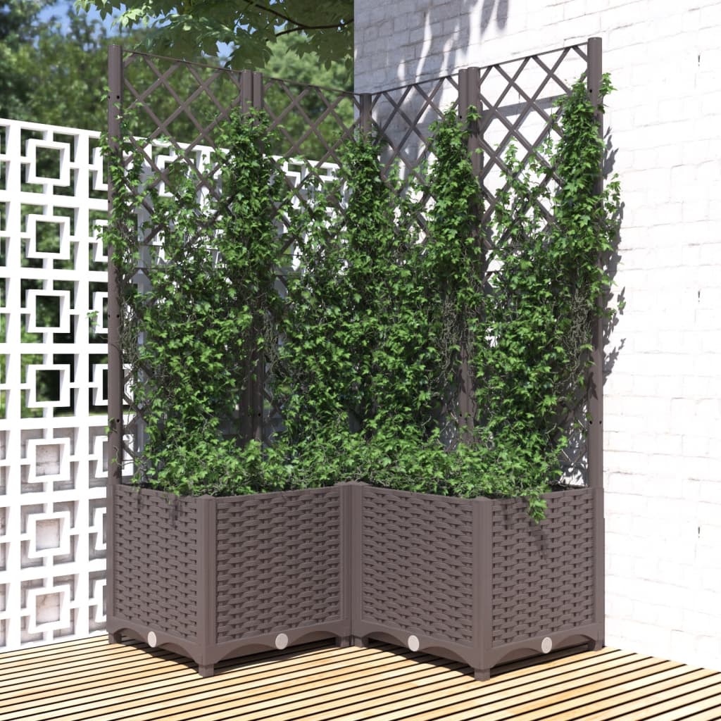 plantekasse med espalier 80x80x136 cm PP brun